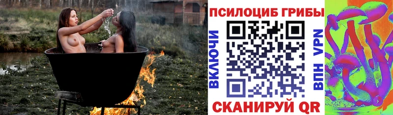 Псилоцибиновые грибы Psilocybe  Удачный 